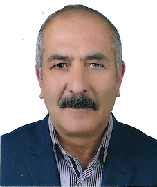 Mürsel YILDIZ